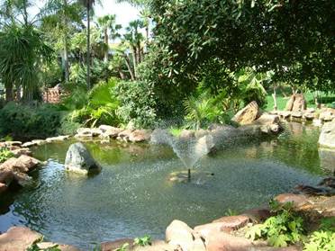 the-water-garden
